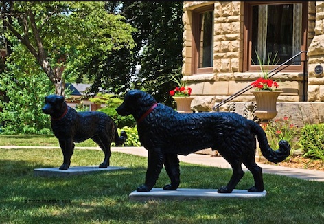 Duplicate dogs in Quincy, Illinois